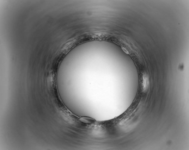 X0000099430276200805161117