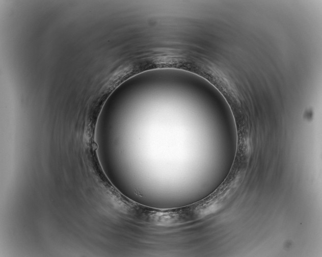 X0000099430277200805161117