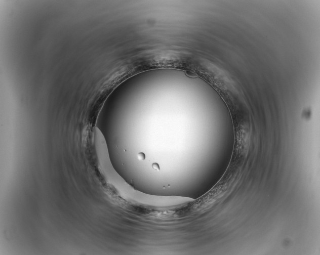 X0000099430278200805161117