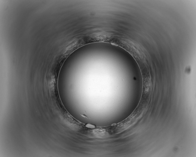 X0000099430279200805161117