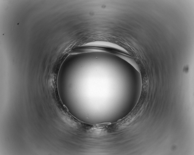 X0000099430280200805161117