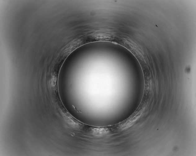 X0000099430281200805161117