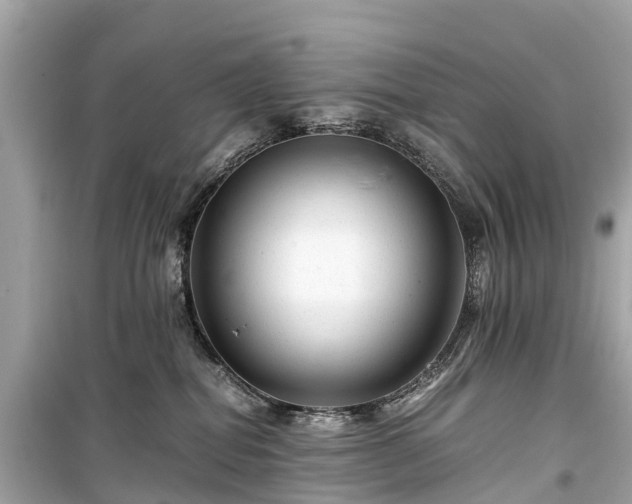 X0000099430282200805161117