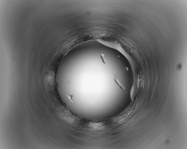 X0000099430283200805161117