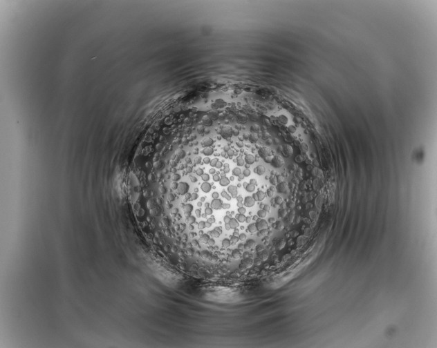 X0000099430285200805161117