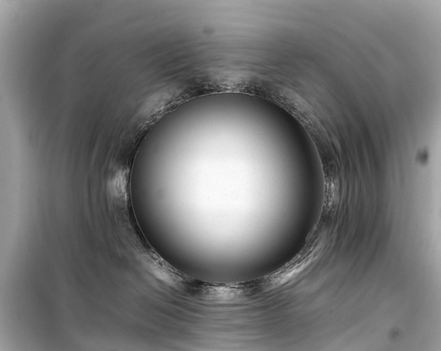 X0000099430286200805161117