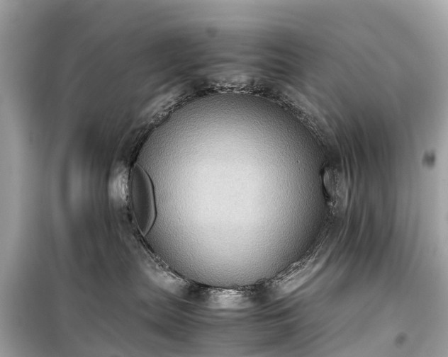 X0000099430287200805161117