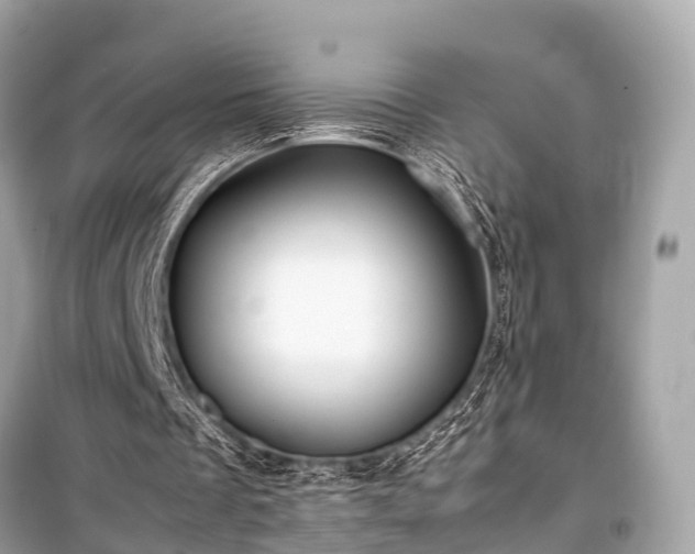 X0000099430289200805161117