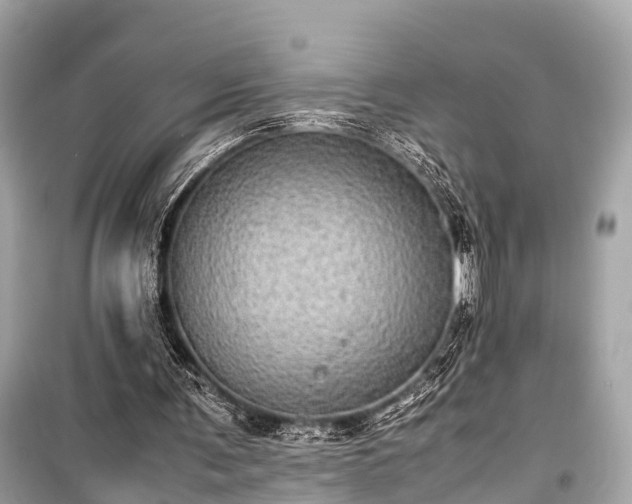 X0000099430291200805161117