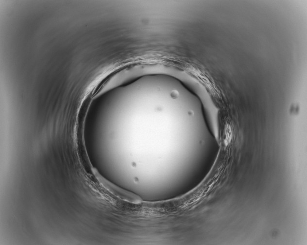 X0000099430292200805161117