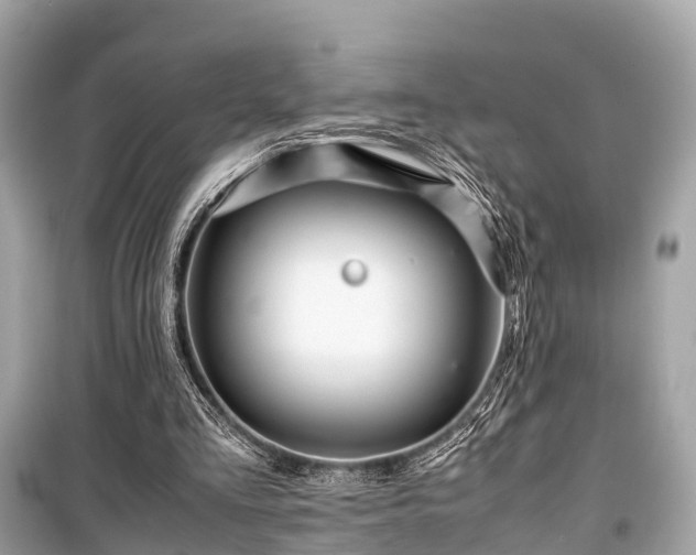 X0000099430293200805161117