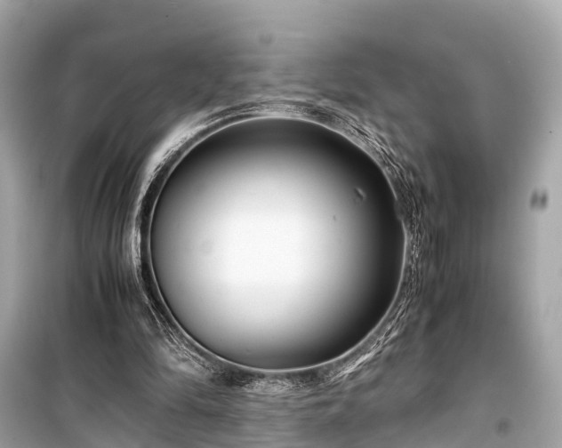X0000099430294200805161117
