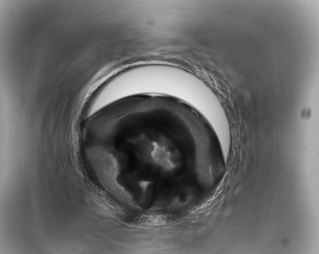 X0000099430295200805161117