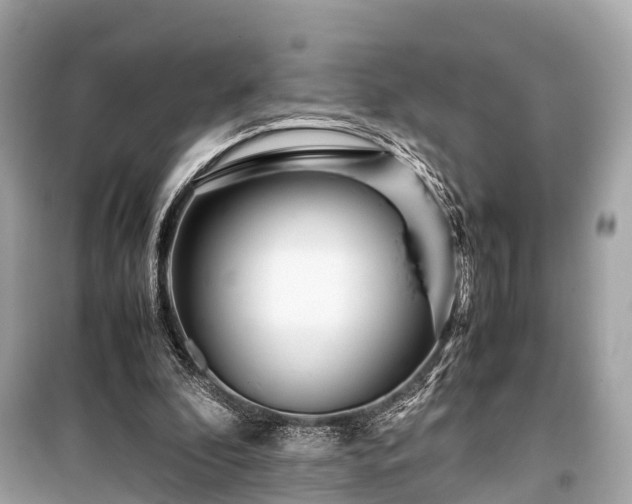 X0000099430296200805161117