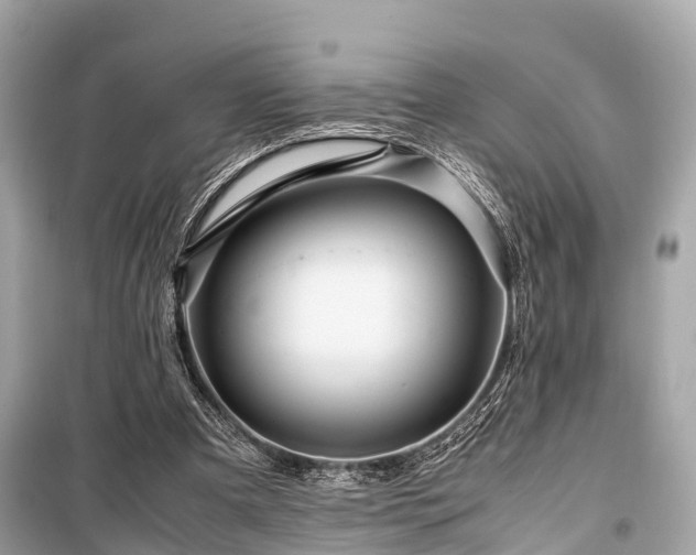 X0000099430297200805161117