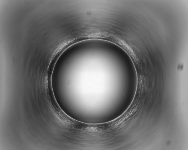 X0000099430298200805161117