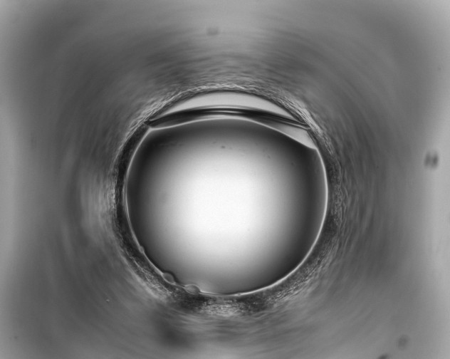 X0000099430299200805161117