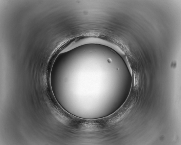 X0000099430300200805161117