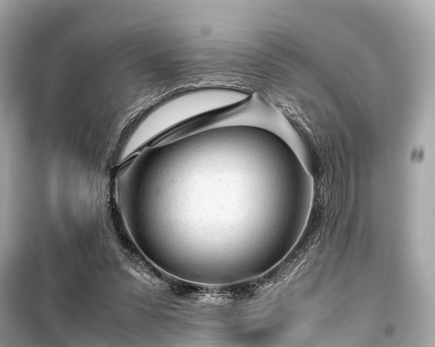 X0000099430303200805161116
