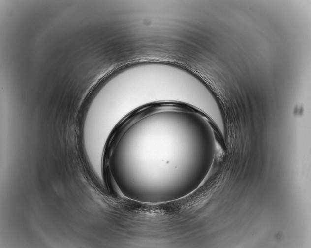X0000099430304200805161116