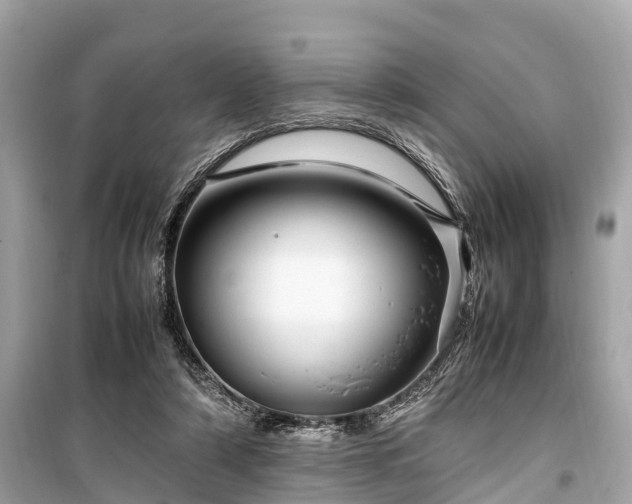 X0000099430306200805161116