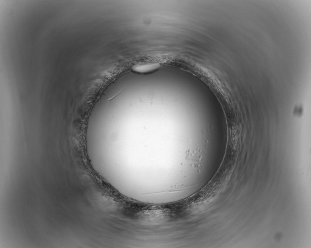 X0000099430307200805161116