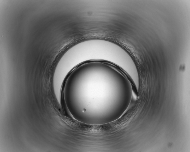 X0000099430308200805161116