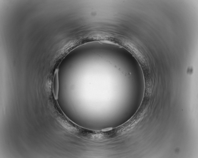 X0000099430309200805161116