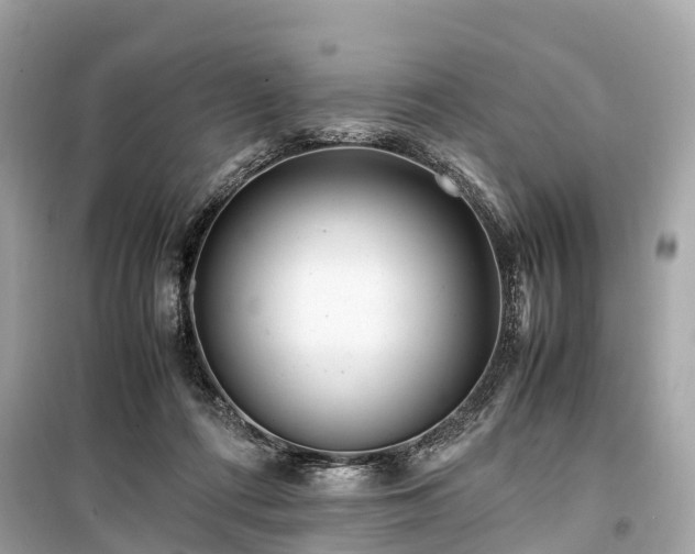 X0000099430312200805161116
