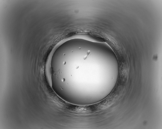 X0000099430315200805161116