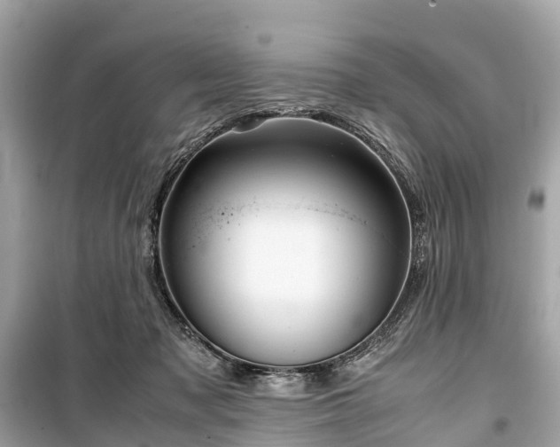 X0000099430317200805161116