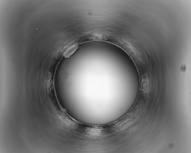X0000099430318200805161116