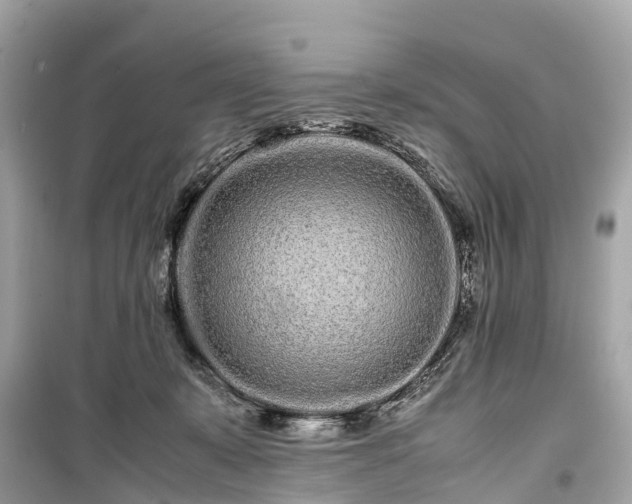X0000099430319200805161116
