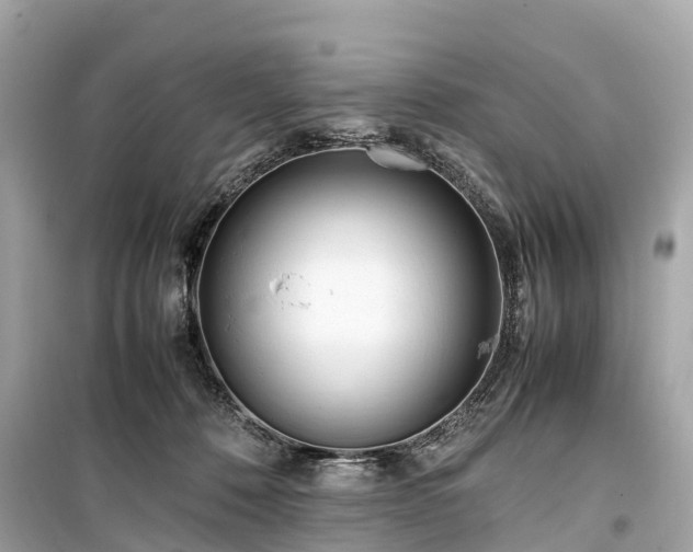 X0000099430320200805161116
