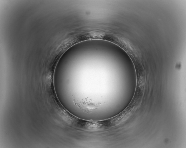 X0000099430321200805161116
