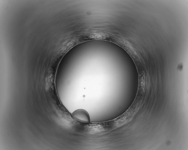 X0000099430322200805161116