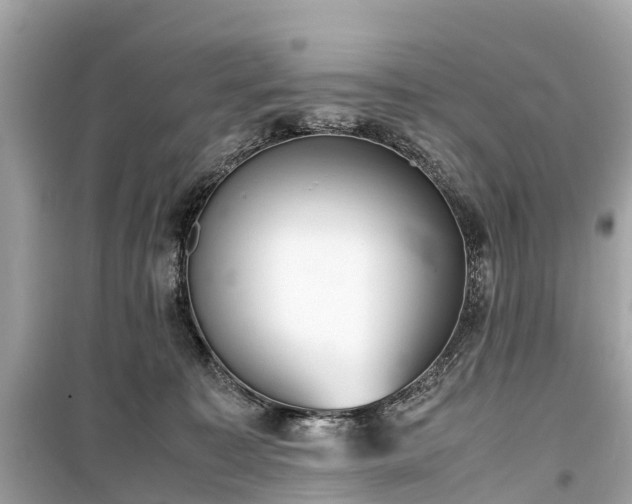 X0000099430323200805161116