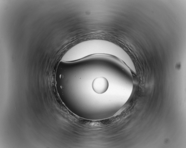 X0000099430324200805161116