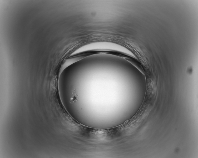 X0000099430325200805161116