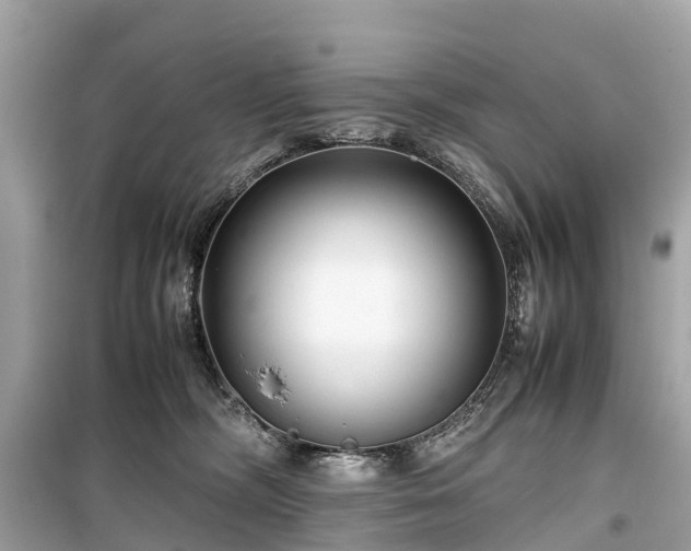 X0000099430326200805161116