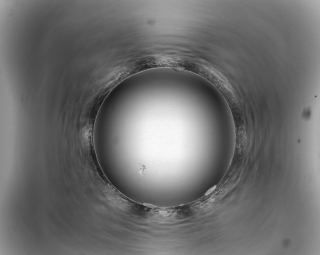X0000099430329200805161116