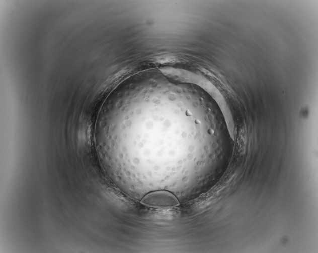 X0000099430330200805161116