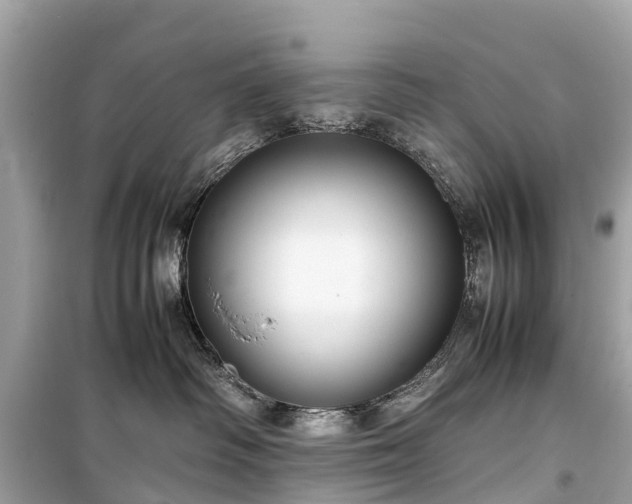 X0000099430334200805161116