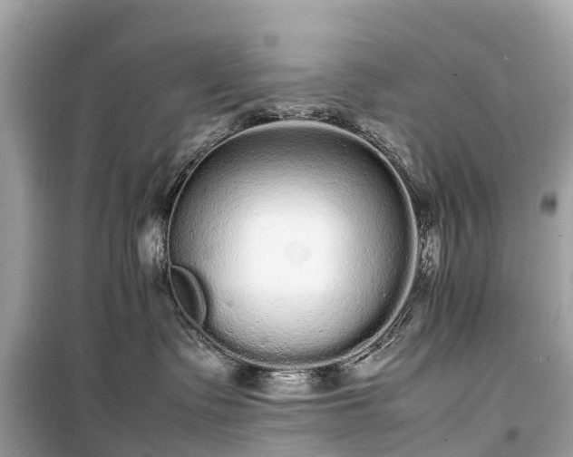 X0000099430335200805161116
