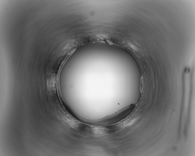 X0000099430336200805161116