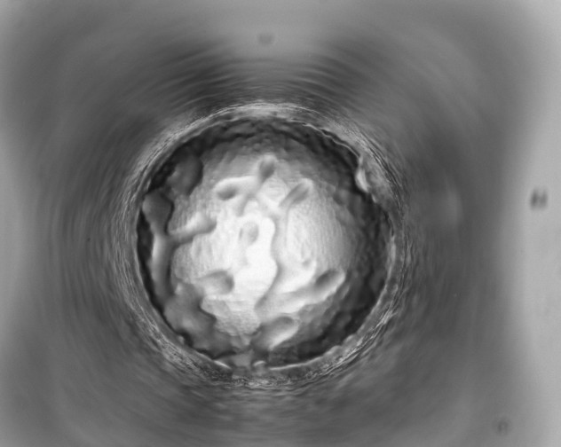 X0000099430337200805161115