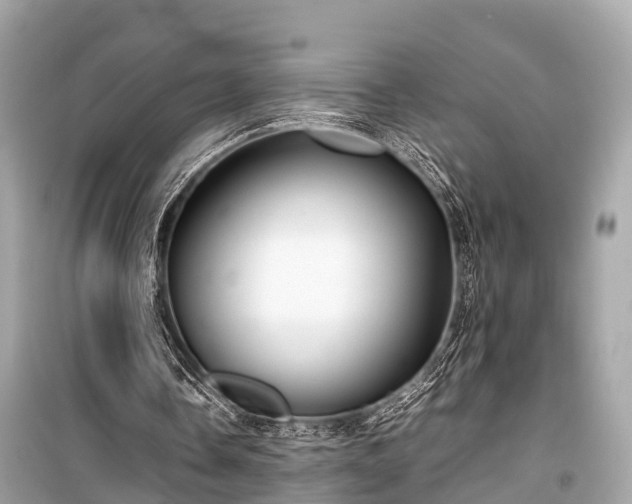 X0000099430338200805161115
