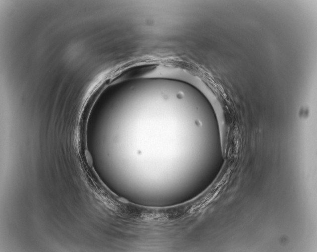 X0000099430340200805161115