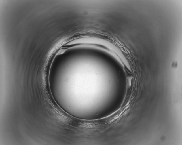 X0000099430341200805161115