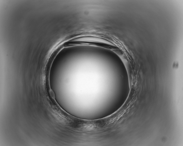 X0000099430344200805161115